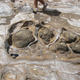 Image for article titled This Is the Slowest and Most Destructive Process on Earth